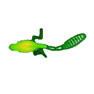 Мягкая приманка Wonder Trout Bait Tabpole 7.0см, 4шт