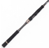 Спиннинг кастинговый  JS Company Bixod N S3 Seabass BC862ML 2,59 м 7-35 г тубус